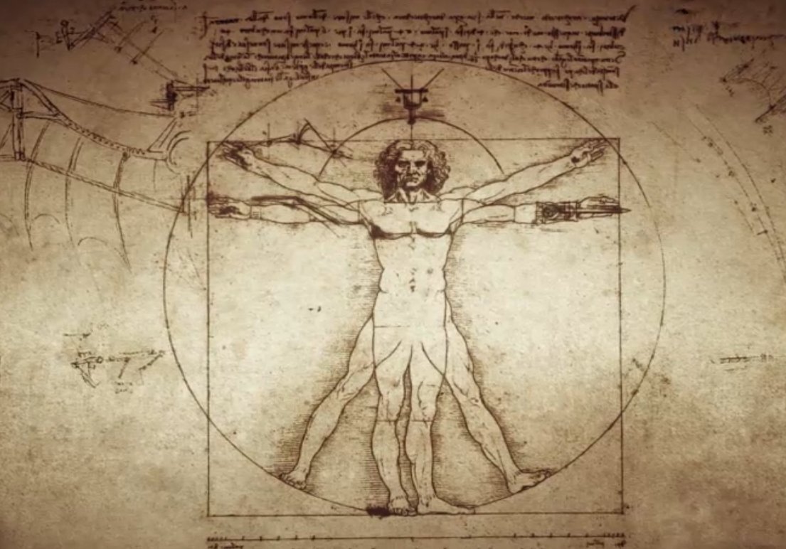 El Vitruvio De Leonardo Da Vinci Revista Educarnos