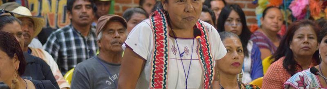 La medicina tradicional. Mary Chuy Patricio Martínez