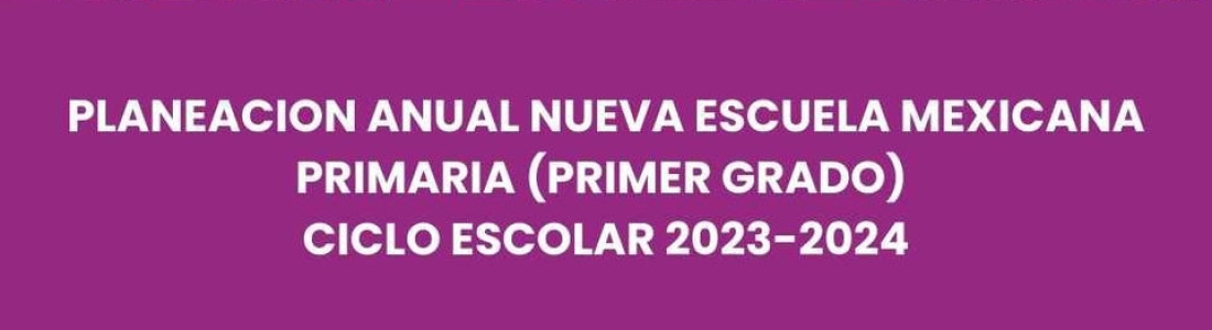 El Plan sintético y el Plan analítico entre el saber docente desde la práctica y la experiencia profesional