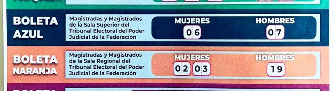Elección judicial: ¿educa?