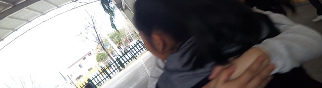 La violencia rompe el tejido institucional de las escuelas