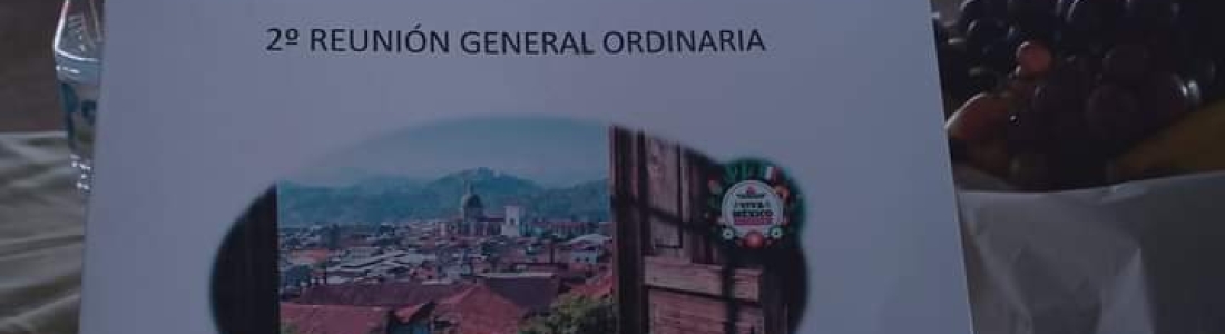 La movilización pedagógica en Michoacán. La importancia de los supervisores como líderes académicos