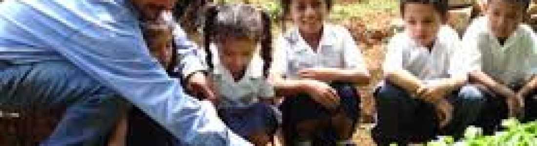 El huerto escolar: como eje organizador del aprendizaje