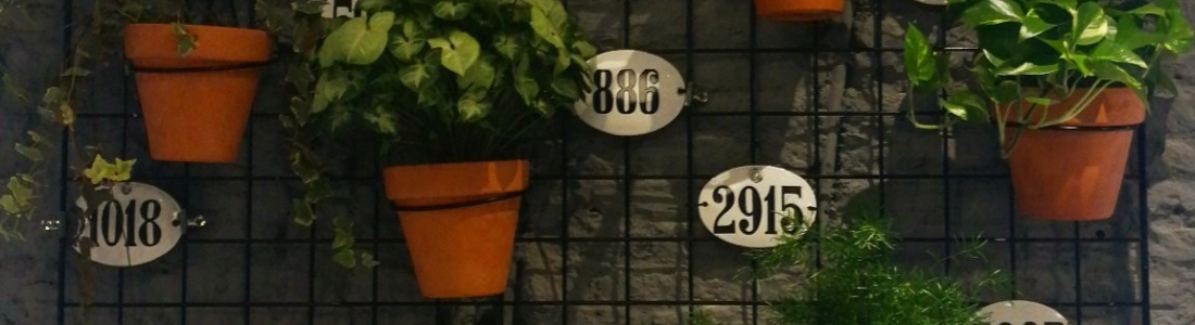 El sentido del número